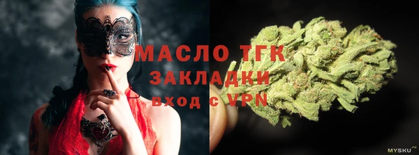 молекула духа Арсеньев
