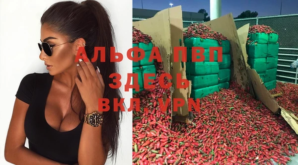 молекула духа Арсеньев