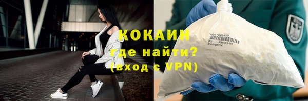 молекула духа Арсеньев