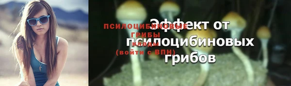молекула духа Арсеньев
