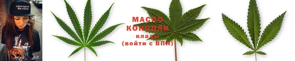 прущие грибы Тавда