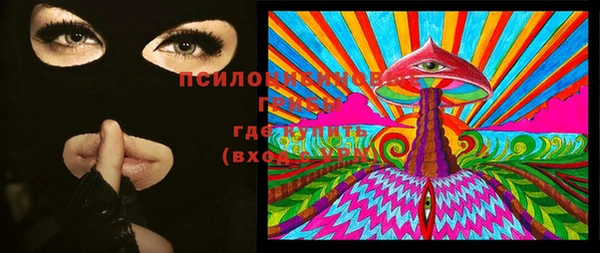 мяу мяу мука Армянск