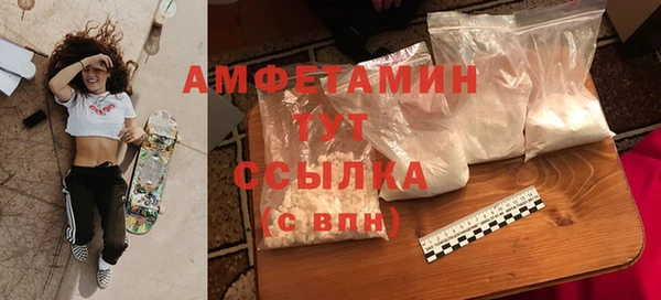 молекула духа Арсеньев
