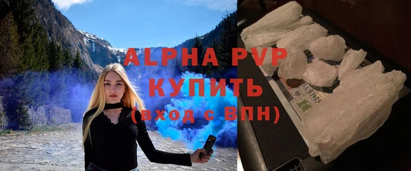 молекула духа Арсеньев